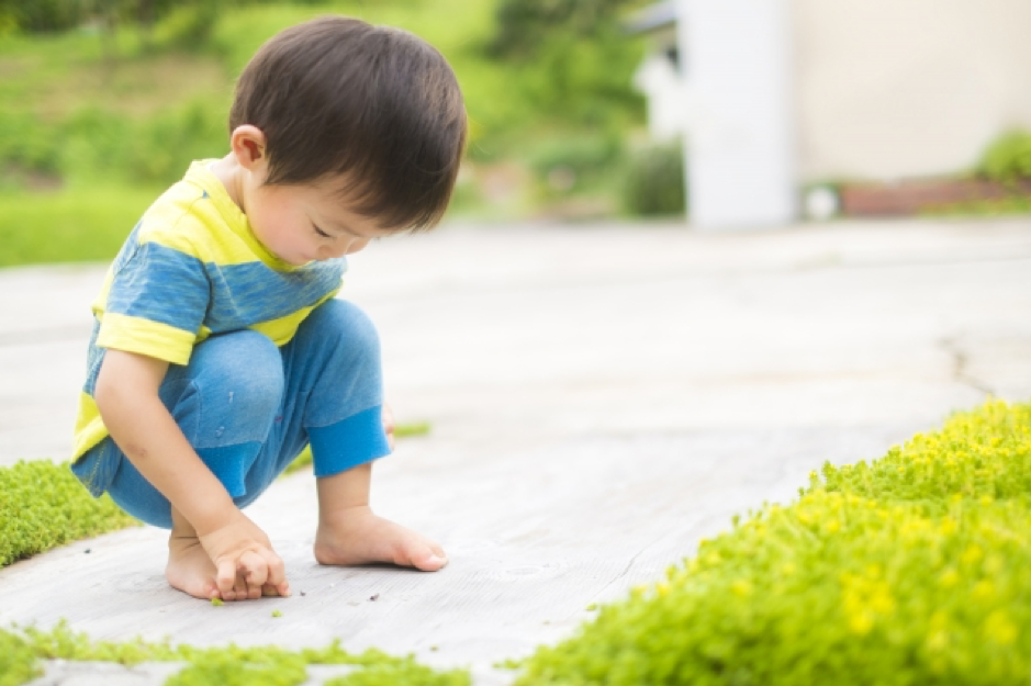 子どもが安心して遊べる庭作りと目隠しのポイントをご紹介